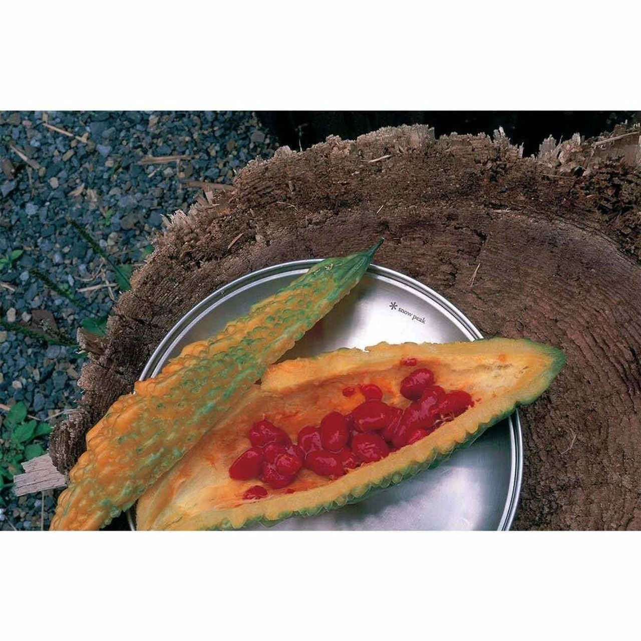 Snow Peak Tableware Plate L 6 Snow Peak Tableware Plate L - Image 4